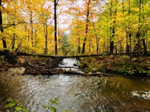 Rivière l'automne au Mont Tremblant (crédit photo Phrenssynnes)