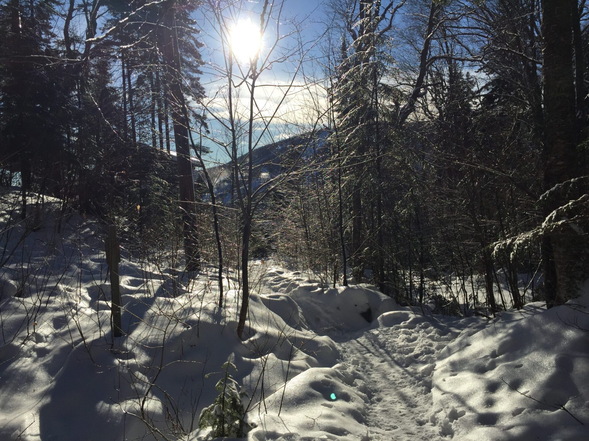 Sentier d'hiver (crédit photo Phrenssynnes)