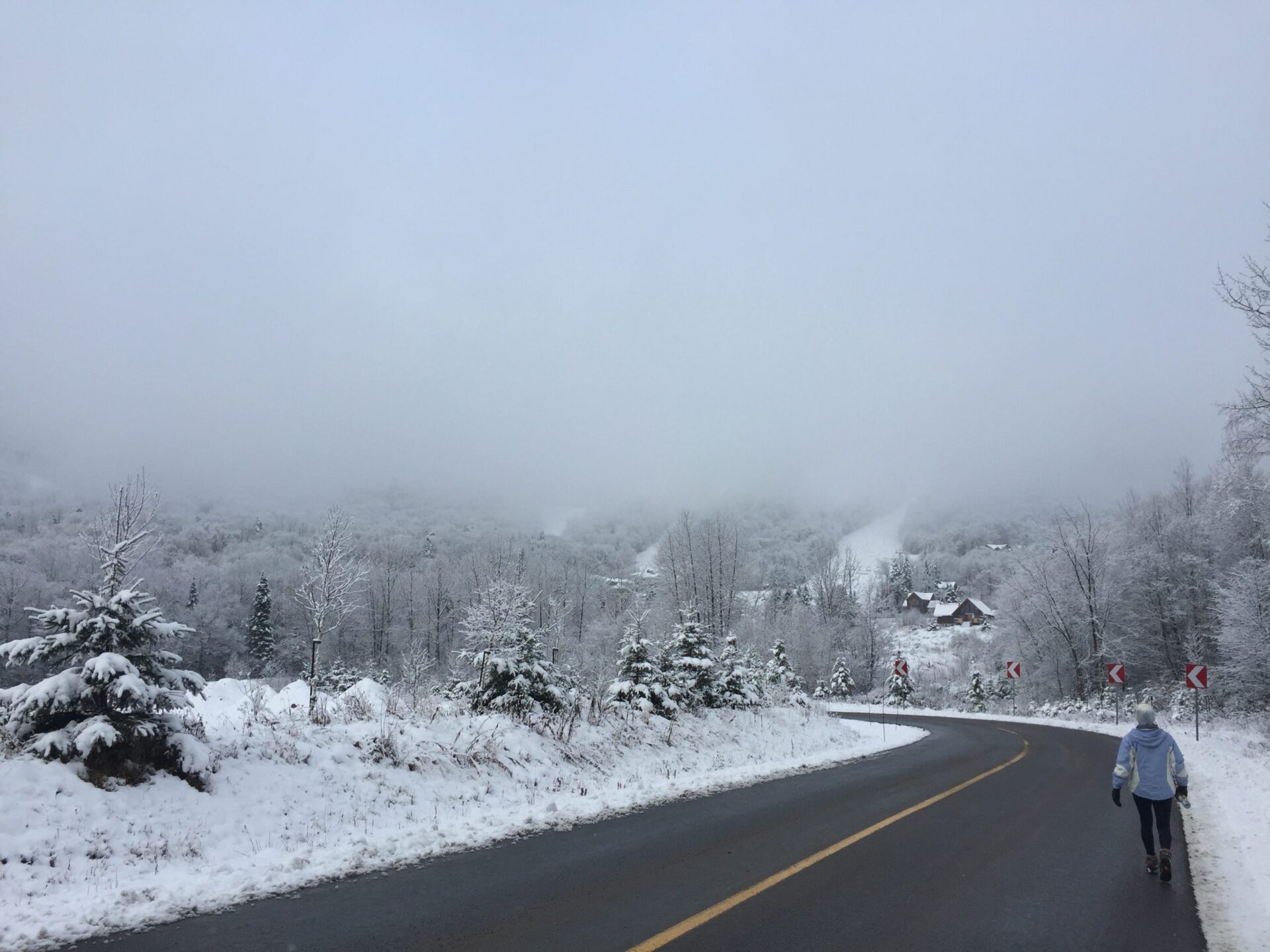 Brouillard d'hiver (crédit photo Phrenssynnes)
