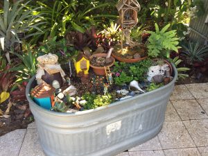Mini jardin botanique (crédit photo Phrenssynnes)