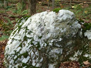 Du marbre dans les bois (crédit photo Phrenssynnes)