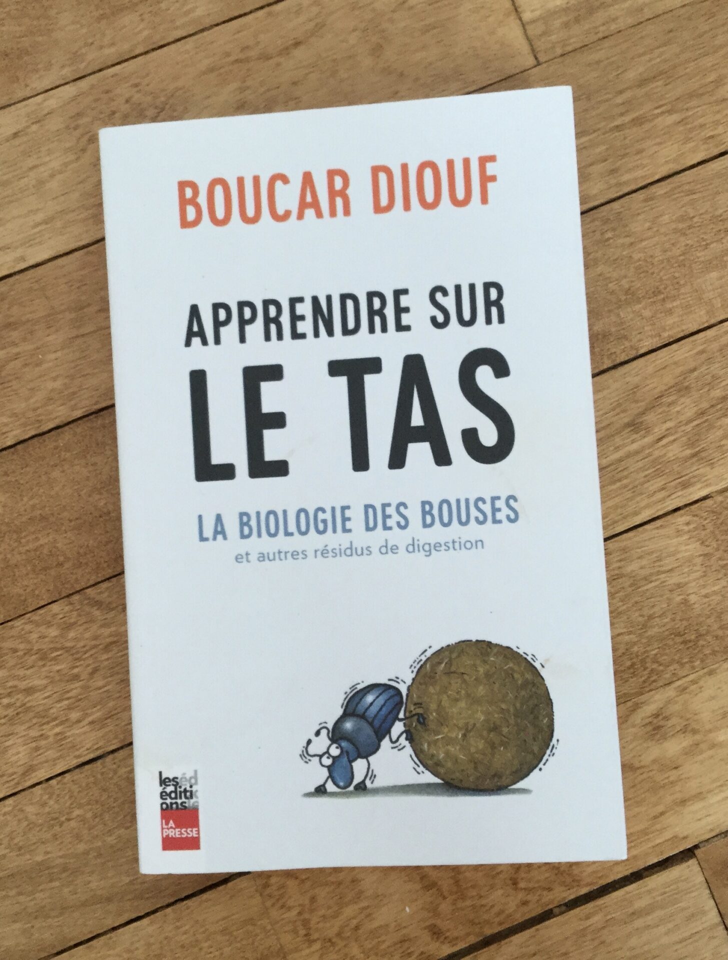 Le livre de Boucar Diouf (crédit photo Phrensssynnes)