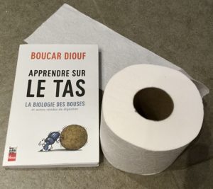 Sur le tas de Boucar Diouf (crédit photo Phrenssynnes)