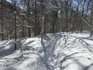 Sentier du hibou au temps de la pandémie