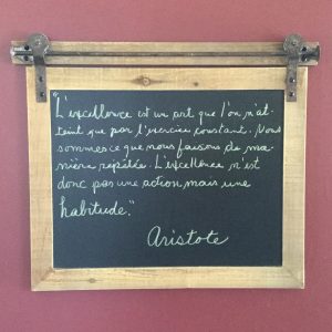 Citation Aristote sur l’excellence(crédit photo Phrenssynnes)
