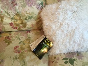 Lire Harlan Coben dans mon sofa (crédit photo Phrenssynnes)