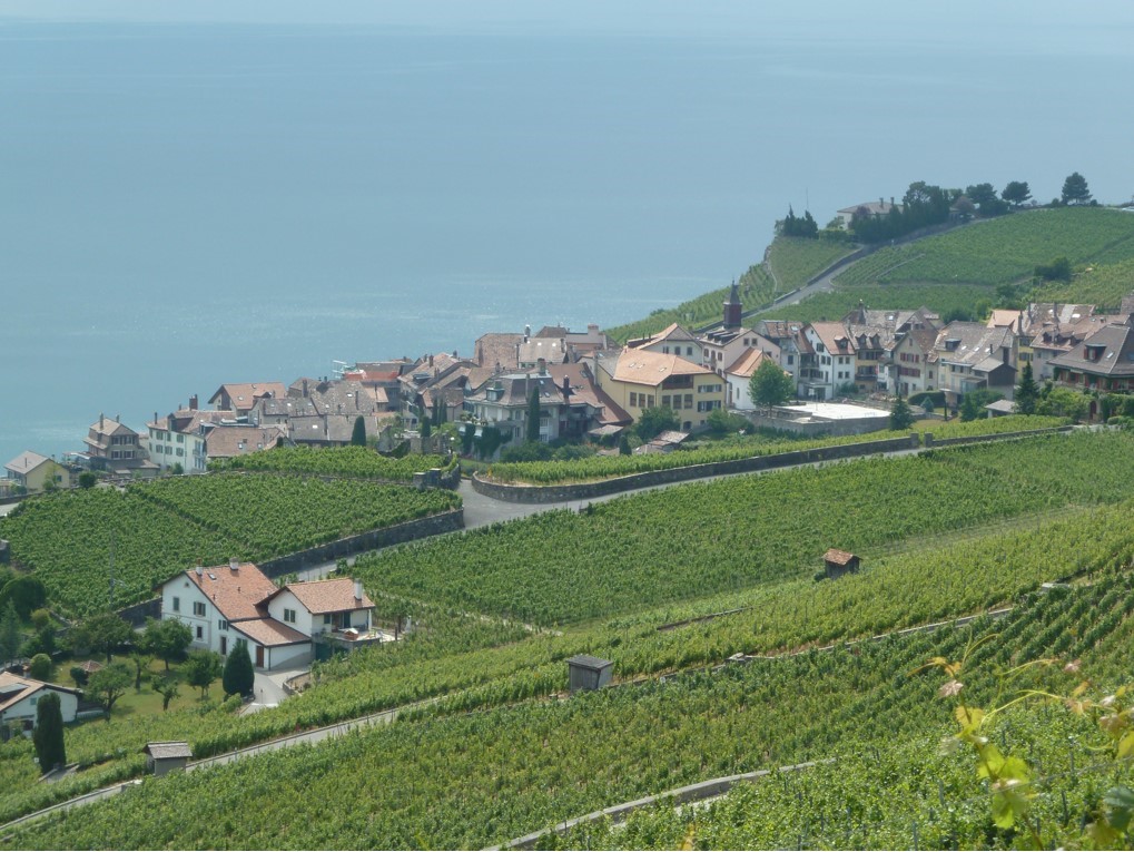 Lavaux en Suisse sur le bord du lac Léman (crédit photo Lhom)