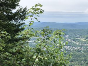 Vue du haut du Mont Wright (crédit photo Phrenssynnes)
