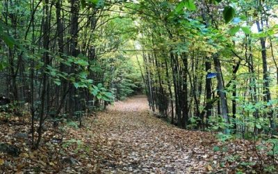 Comment être heureux?