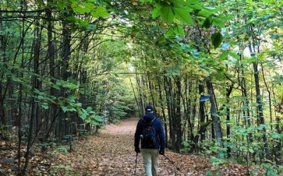 Marcher tous les jours peut être plus bénéfique que vous le pensez