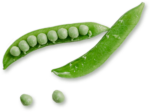 Petits pois de DIVI