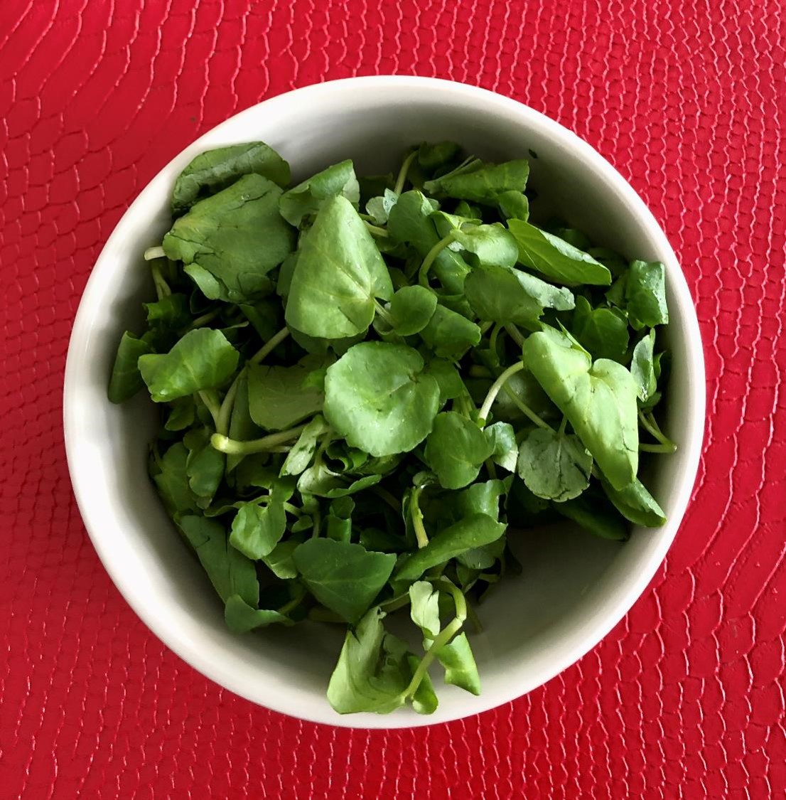 Plat de cresson (crédit photo Phrenssynnes)