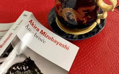 Chronique littéraire: Âme brisée d&rsquo;Akira Mizubayashi