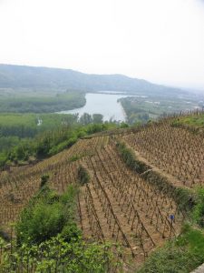 Le Rhône près de Ampuis, France (crédit photo Lhom)