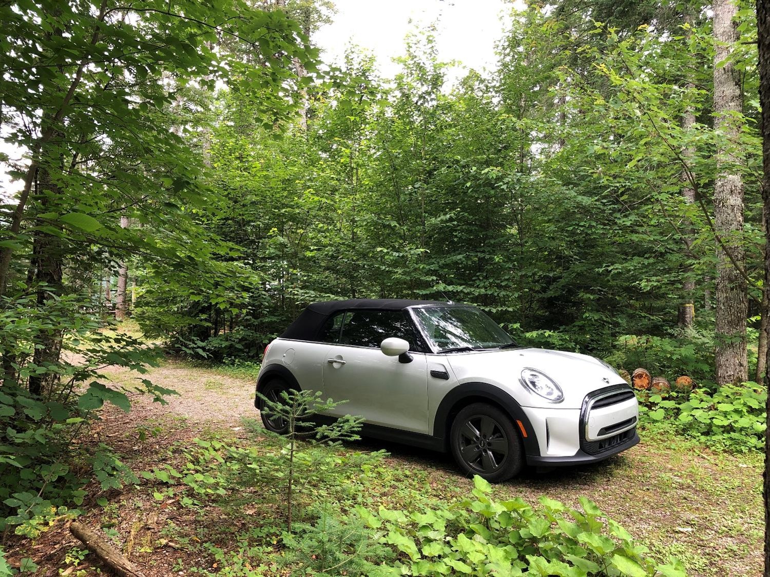 La mini Cooper avec le toit fermé (crédit photo Phrenssynnes)