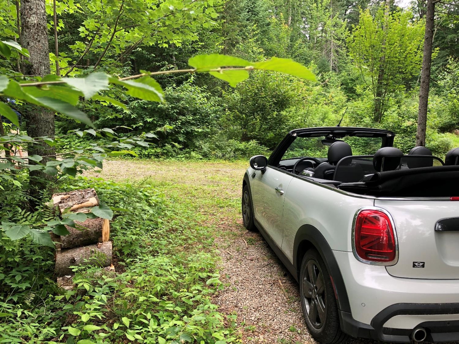 Arrière de la mini Cooper (crédit photo Phrenssynnes)