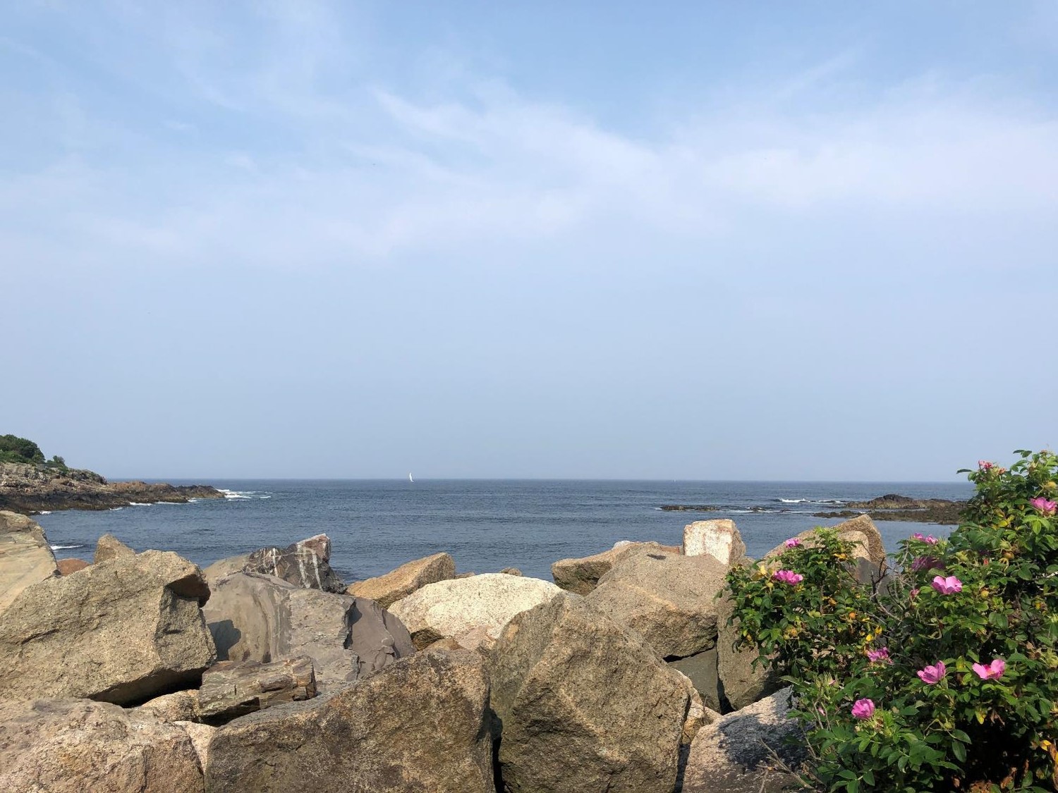 Ogunquit1 2023 (crédit photo Phrenssynnes)