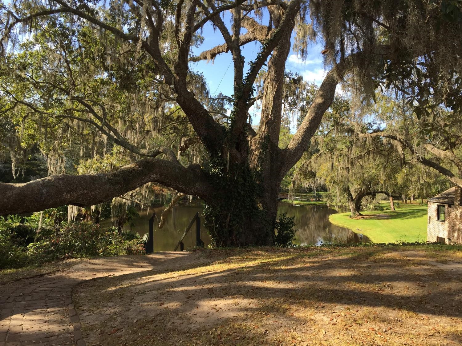 Près de Charleston (crédit photo Lhom)