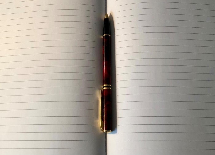Cahier (crédit photo Phrenssynnes)