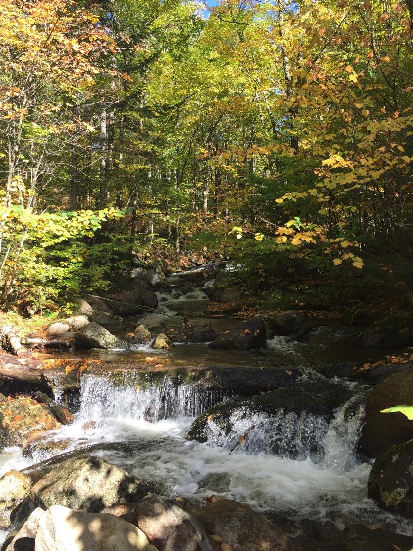 Cascade sur la rivière du Hibou (crédit photo Lhom)
