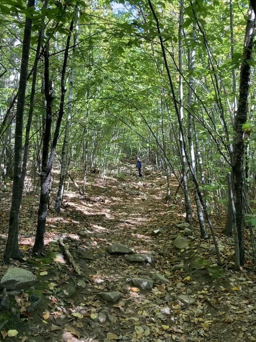 Sentier du mont Agamenticus (crédit photo Lhom)