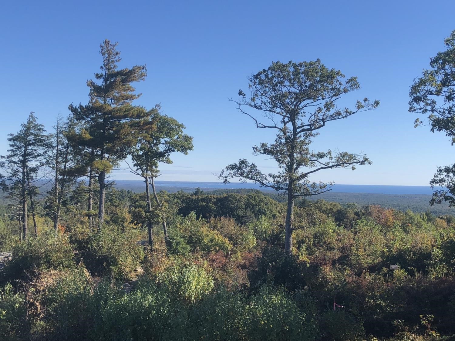 Sur le haut du mont Agamenticus (Crédit photo Phrenssynnes)