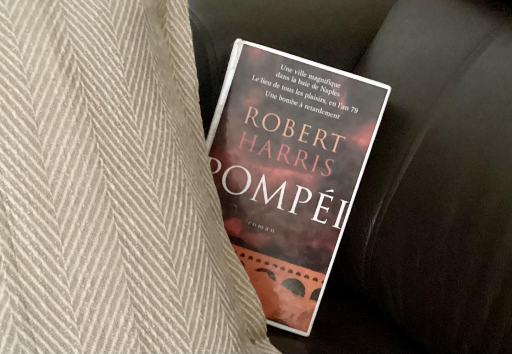 Livre Pompéi avec coussin (crédit photo Phrenssynnes)