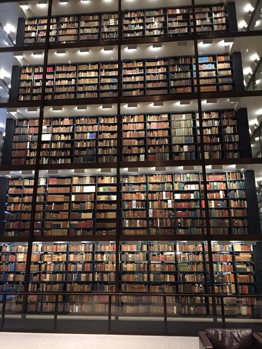 Bibliothèque université Yale (crédit photo Lhom)