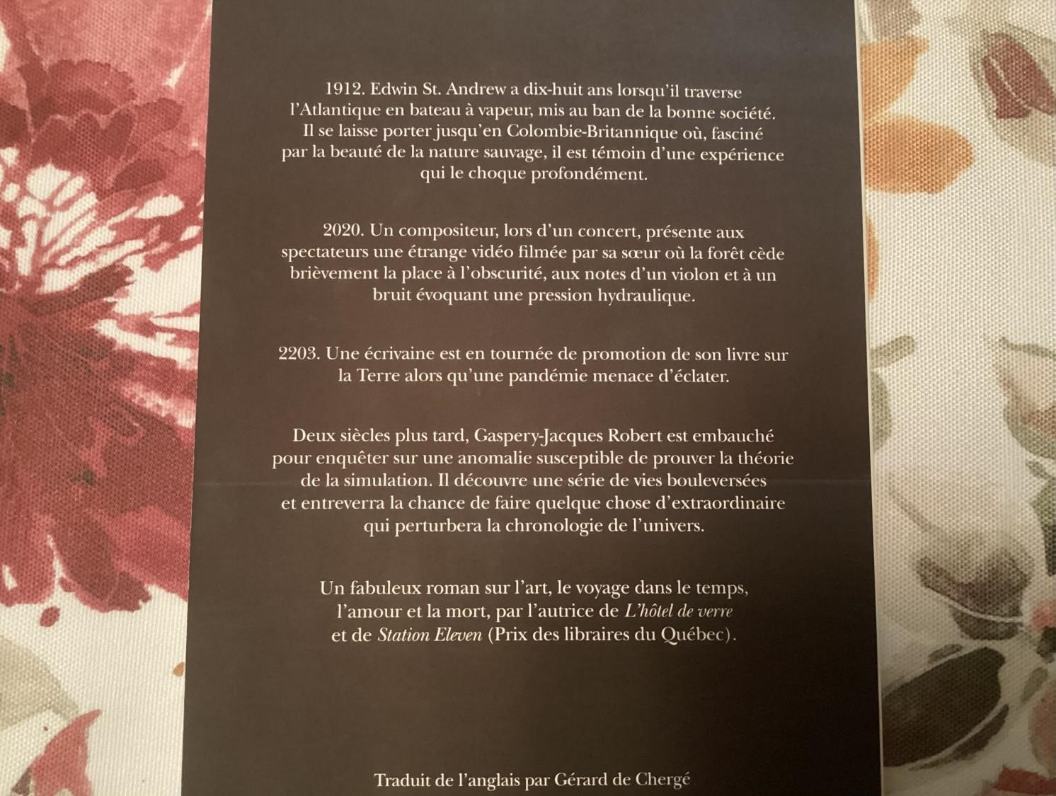Quatrième de couverture  de La mer de tranquillité (crédit photo Phrenssynnes)