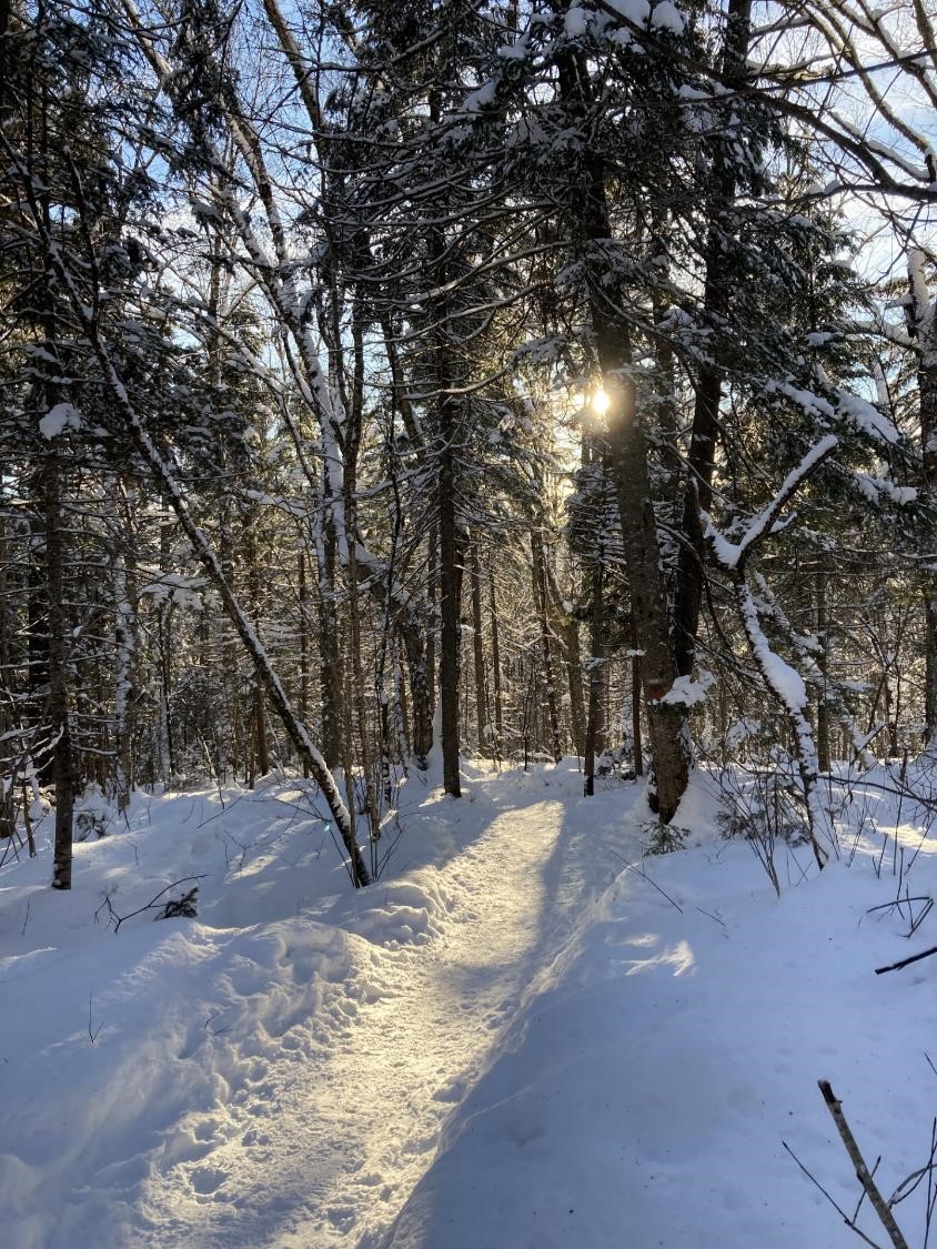 Sentier du Hibou (crédit photo Lhom)