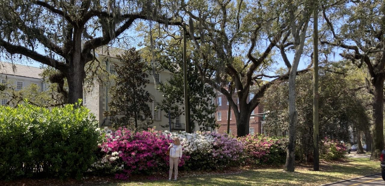 Les fleurs à Savannah (crédit photo Lhom)
