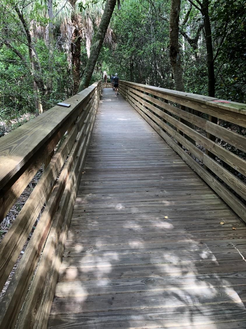 Trottoirs de bois (crédit photo Phrenssynnes)