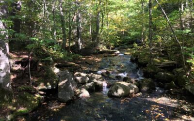 Stoneham