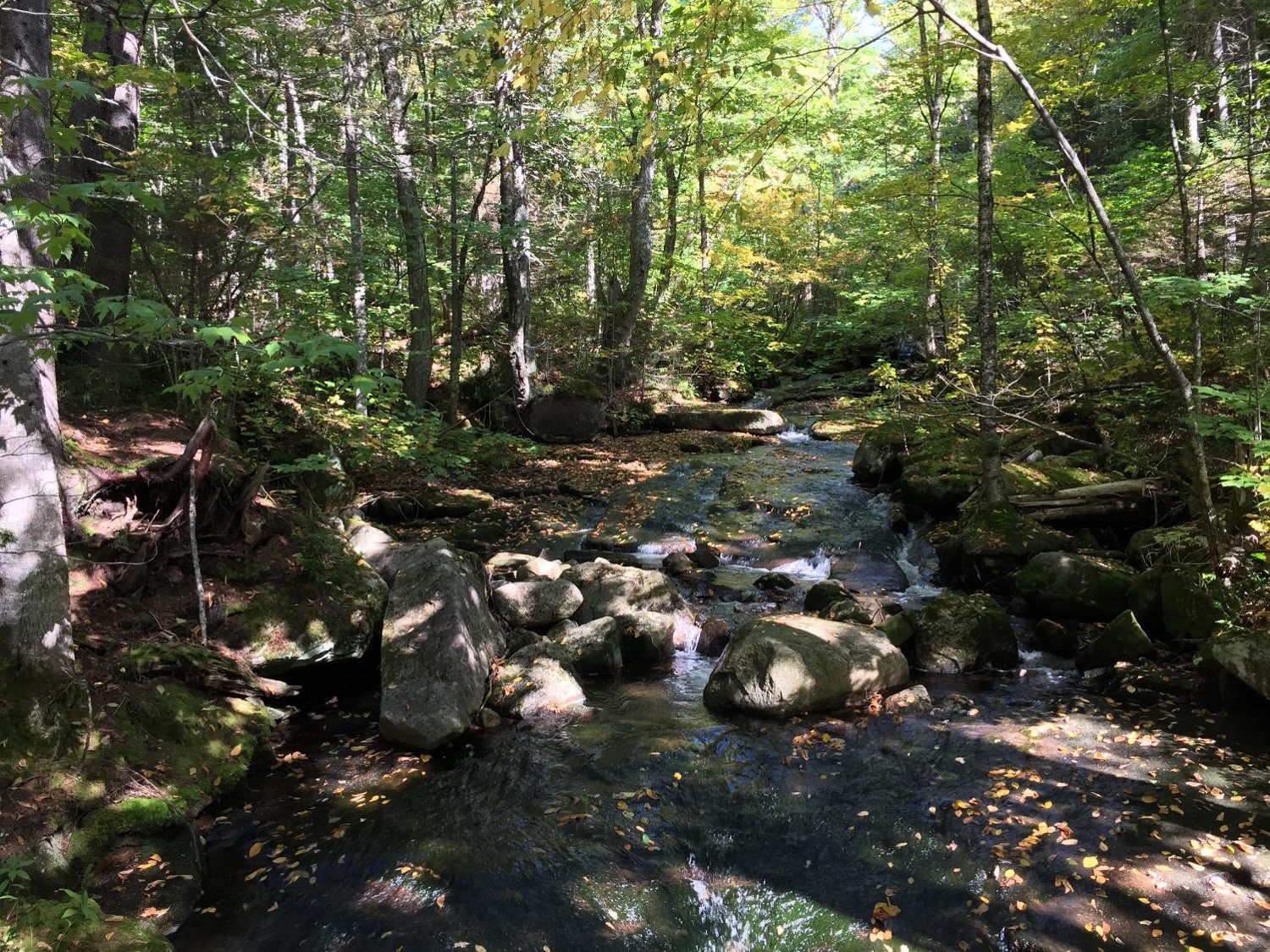 Rivière à Stoneham (crédit photo Lhom)