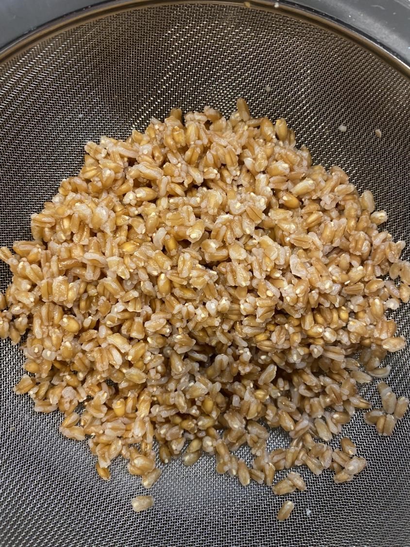 Le farro cuit (crédit photo Phrenssynnes)