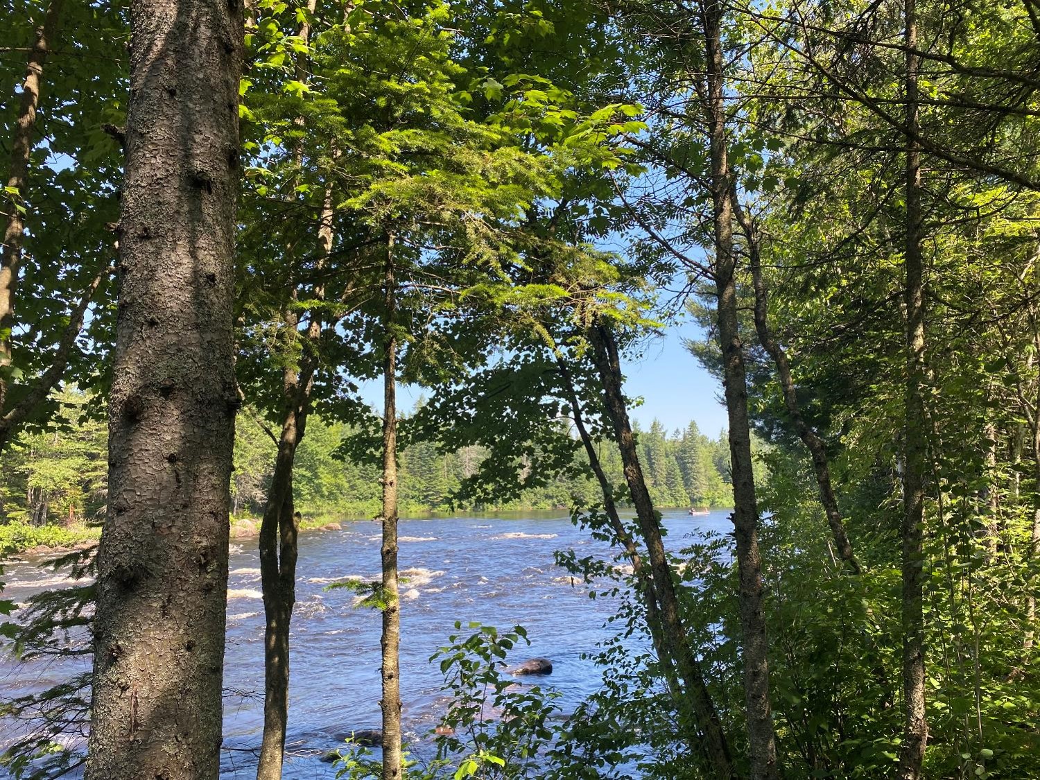 Paysage en vélo à Québec (crédit photo Phrenssynnes)