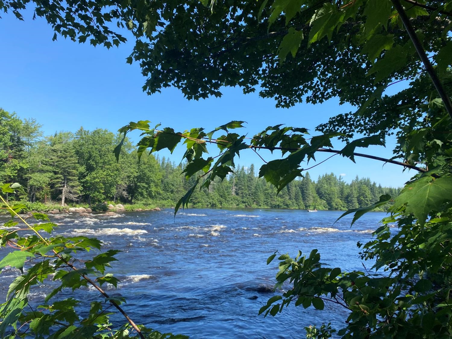 Rivière Jacques-Cartier (crédit photo Phrenssynnes)