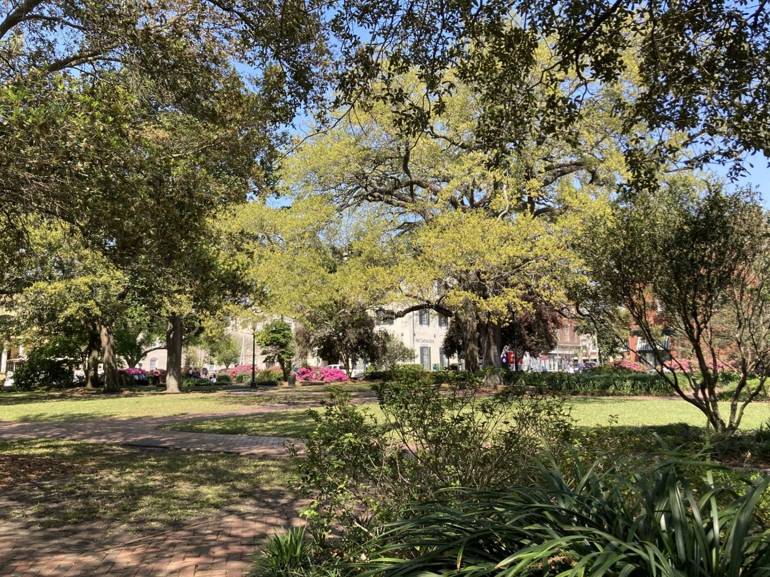 Parc à Savannah (crédit photo Lhom)