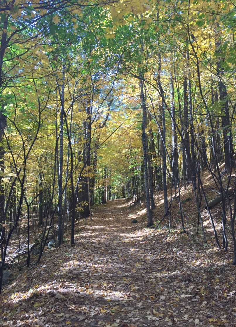 Sentier d'automne (crédit photo Lhom)