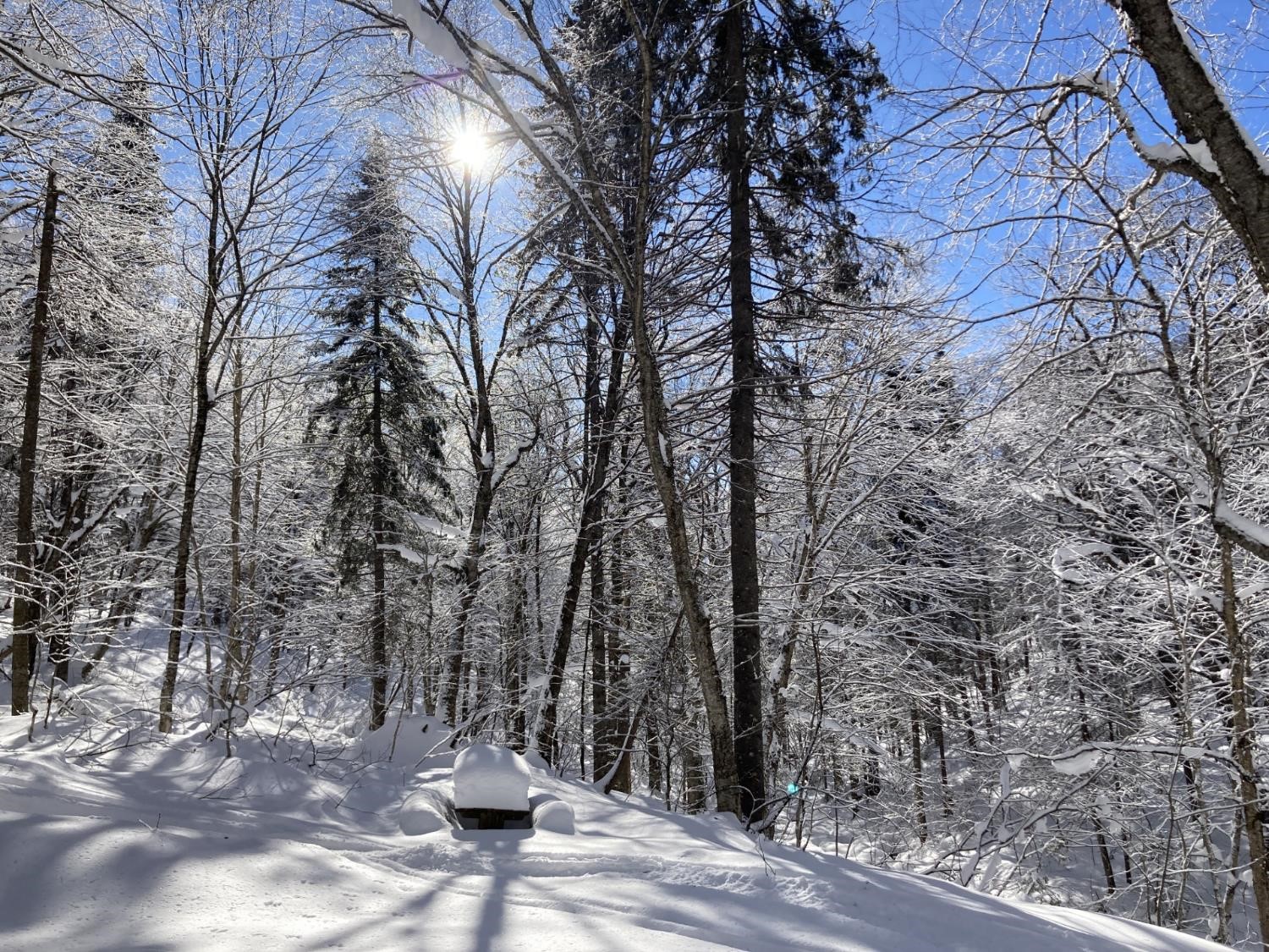 Neige en hiver (crédit photo Lhom)