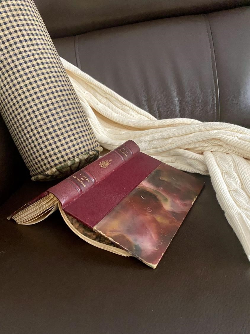 Livre sur sofa (crédit photo Phrenssynnes)