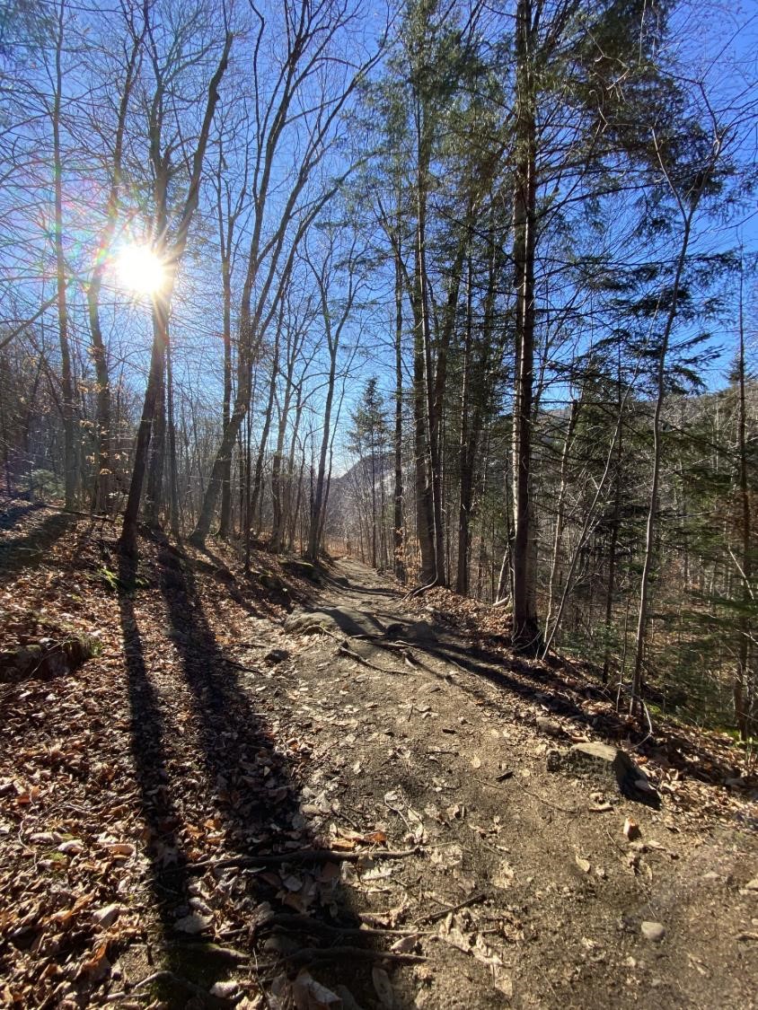 Chemin vers le repos(crédit photo Phrenssynnes)