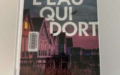 Critique de _L&rsquo;eau qui dort_ : Un Policier Époustouflant