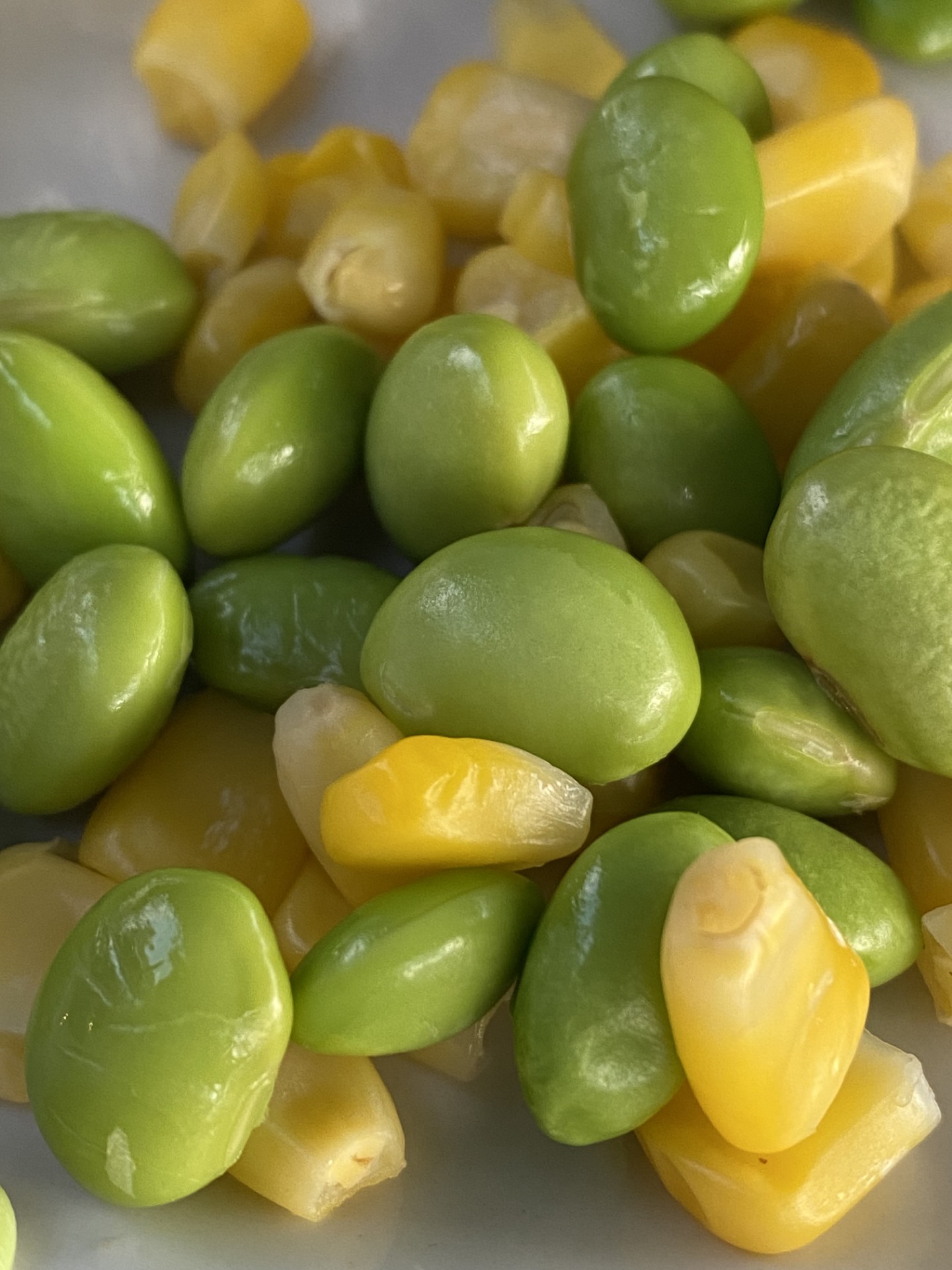 Succotash à St Andrews (crédit photo Phrenssynnes)