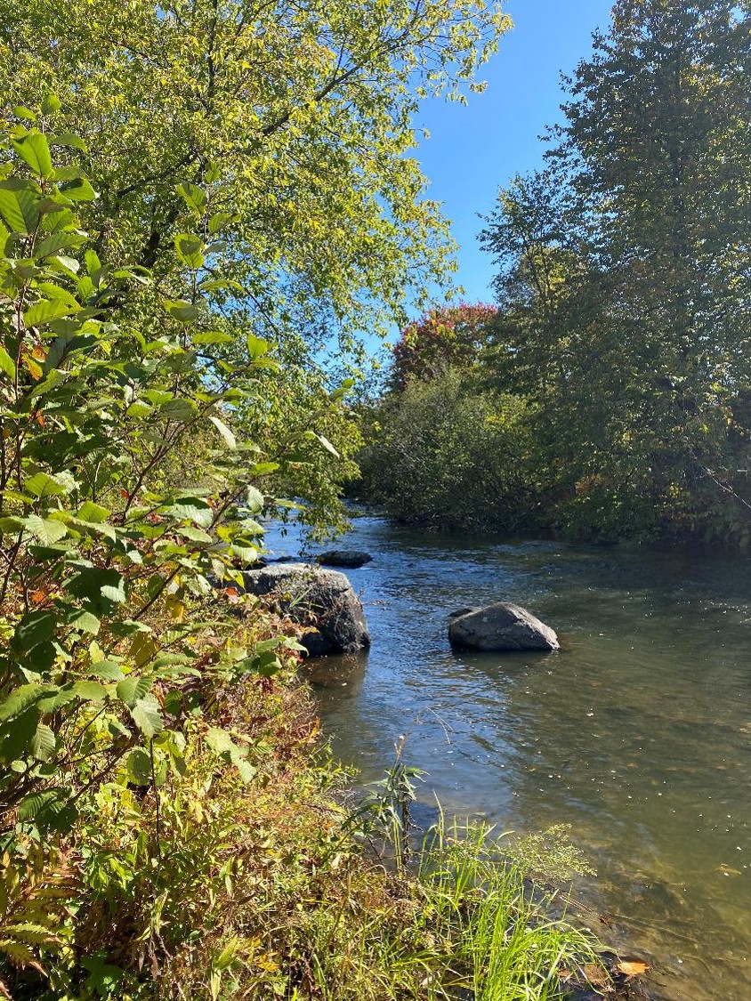 Rivière Yamaska1 (crédit photo Phrenssynnes)