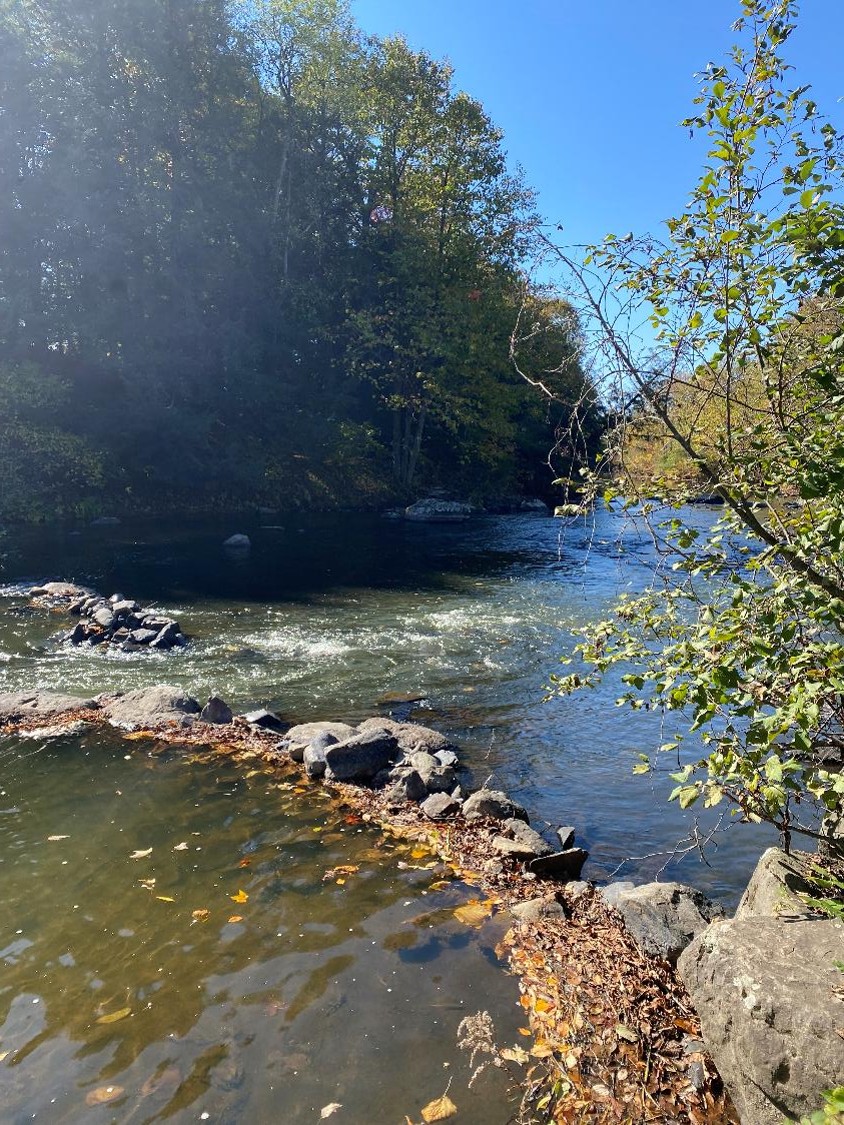 Rivière Yamaska 2 (crédit photo Phrenssynnes)