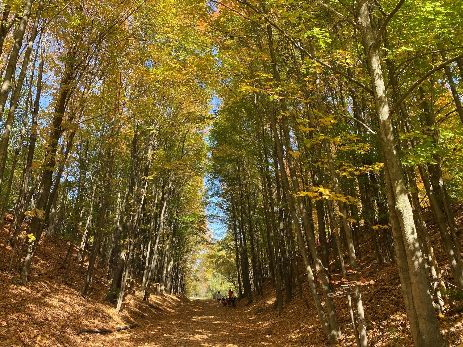 Vélo à Bromont (crédit photo Phrenssynnes)