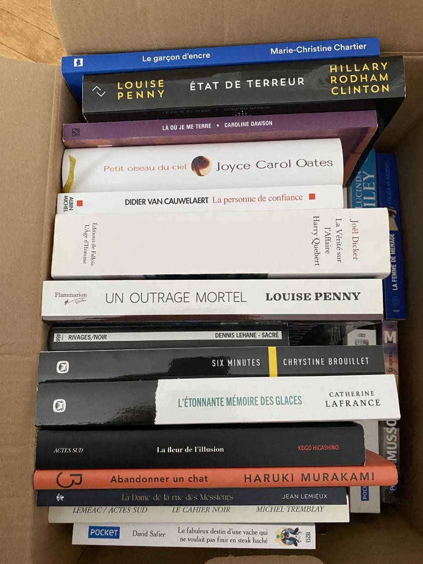 Livres vendus 2 (Crédit photo Phrenssynnes)